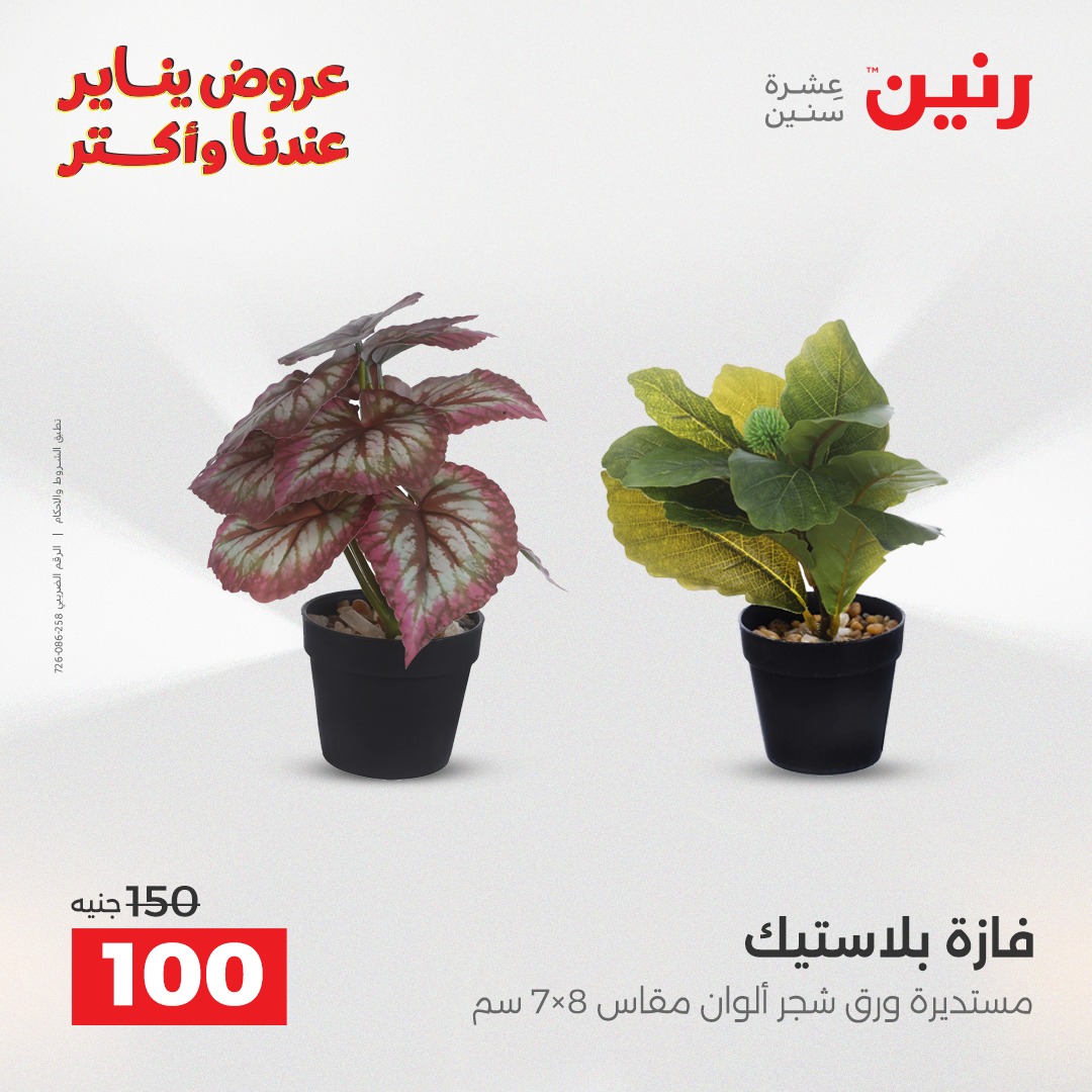 raneen offers from 25dec to 27dec 2025 عروض رنين من 25 ديسمبر حتى 27 ديسمبر 2025 صفحة رقم 141